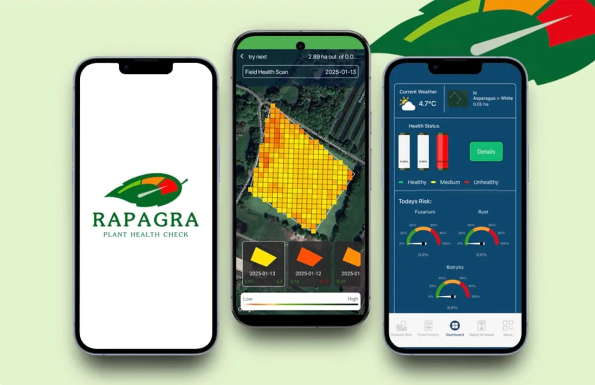 Rapagra plant health check app built by OgreLogic, showing a field health scan heatmap and crop disease risk dashboard on three iPhones